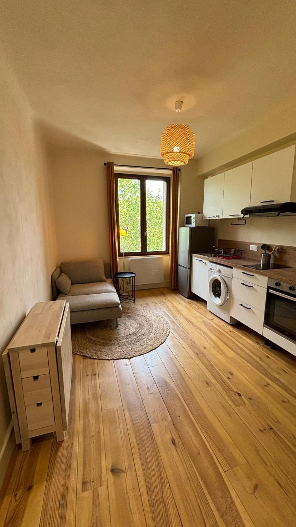 T2 Cocon Avec Balcon Et Parking La Roche-sur-Foron Exterior foto