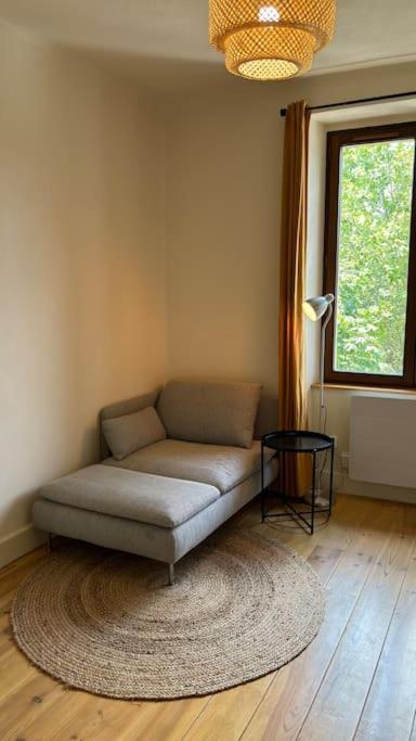 T2 Cocon Avec Balcon Et Parking La Roche-sur-Foron Exterior foto